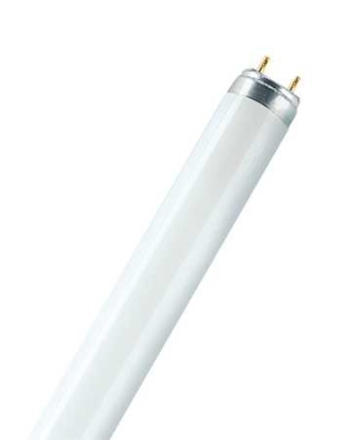 LEDVANCE - LUMILUX T8 58W 840 4000K 5200lm helder wit G13 1500mm Ø26mm