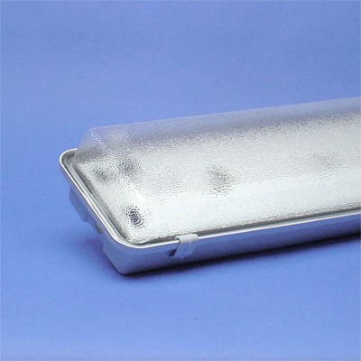 TECHNOLUX - Waterdicht armatuur gesloten type methacrylaat 2x36W VVG IP65 clips kunststof