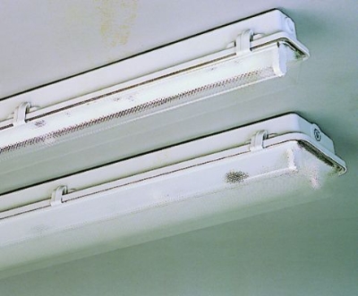 TECHNOLUX - Waterdicht armatuur gesloten type methacrylaat 2x58W EVG IP65 clips kunststof