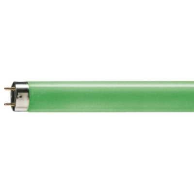 PHILIPS - TL-D Colored Green 36W G13 170 4300lm