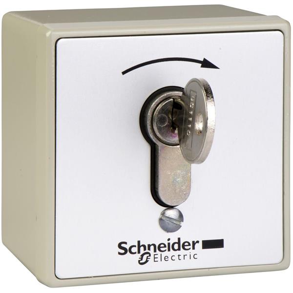 TELEMECANIQUE - inbraakveilige opbouw-drukknopkast - XAP-S - met slot