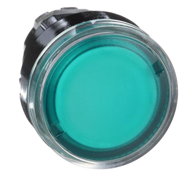 TELEMECANIQUE - Kop voor verlichte drukknop - Ø22 - groen - zonder markering