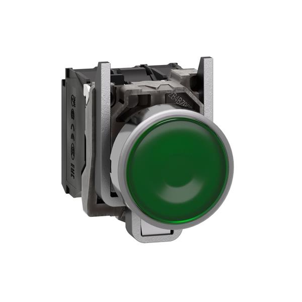 TELEMECANIQUE - Verlichte drukknop groen Ø22 - impulscontact verzonken - 24V - 1NC + 1NO