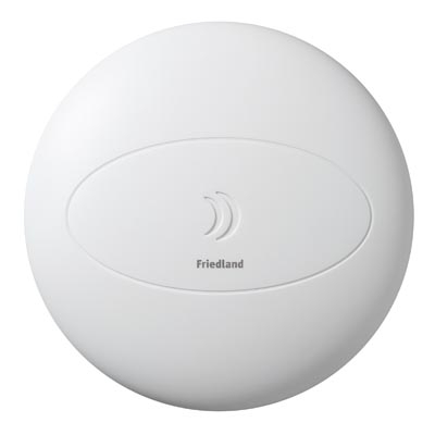 FRIEDLAND -