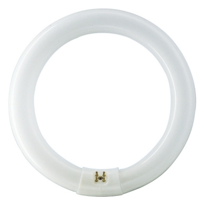 PHILIPS - Master TL-E Circular Super 80 22W G10Q 4000K 1285lm CRI80