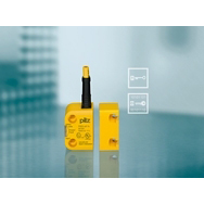 Pilz -