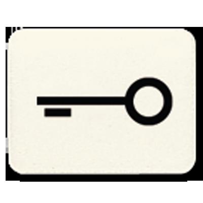 Jung - Symbole clé pour interrupteur/bouton-poussoir CD/WG600/800/AP claire