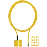 Pilz -