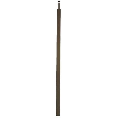 Stagobel -