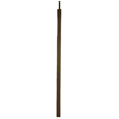 Stagobel -