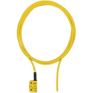 Pilz -
