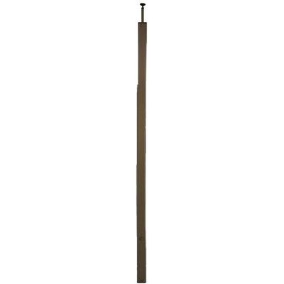 Stagobel -